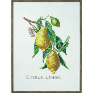 Permin Broderikit Citrus-Lemon 29x39cm